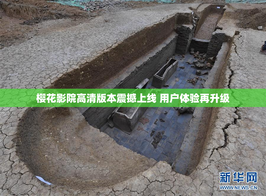 樱花影院高清版本震撼上线 用户体验再升级