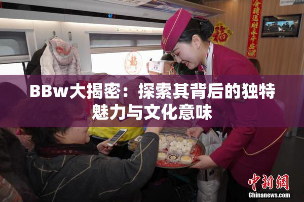 BBw大揭密：探索其背后的独特魅力与文化意味