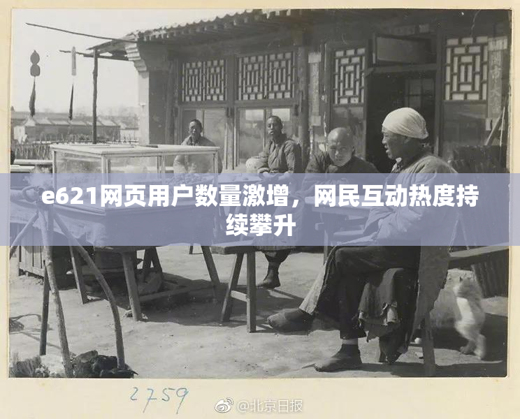 e621网页用户数量激增，网民互动热度持续攀升