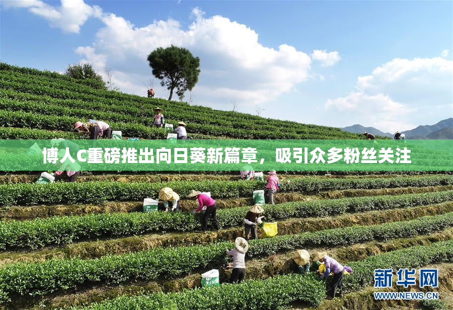 博人C重磅推出向日葵新篇章，吸引众多粉丝关注