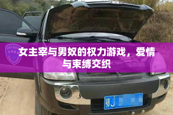 女主宰与男奴的权力游戏，爱情与束缚交织