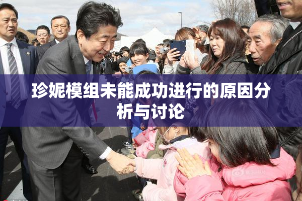珍妮模组未能成功进行的原因分析与讨论