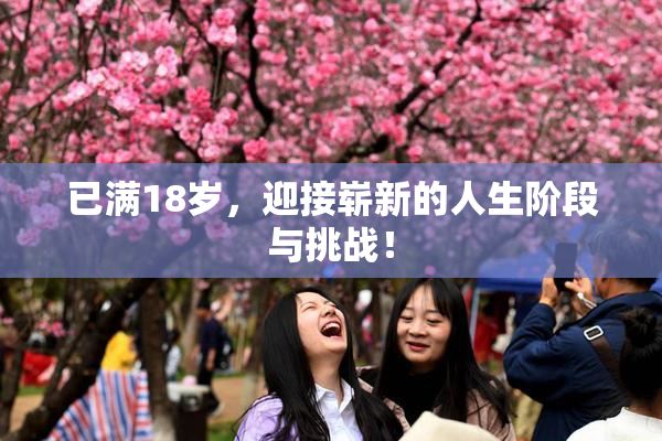 已满18岁，迎接崭新的人生阶段与挑战！
