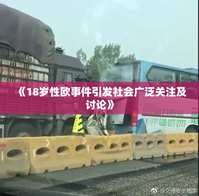 《18岁性欧事件引发社会广泛关注及讨论》