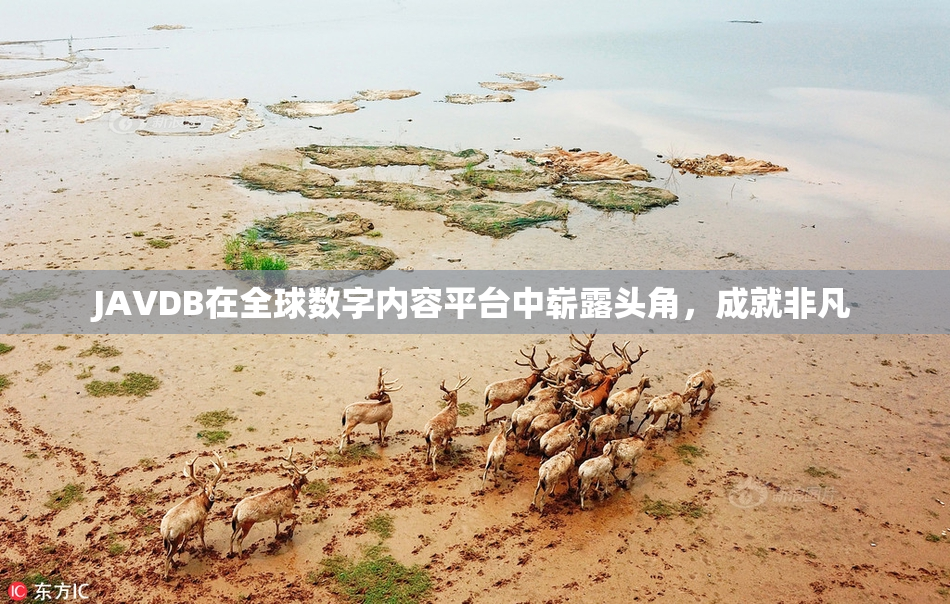 JAVDB在全球数字内容平台中崭露头角，成就非凡