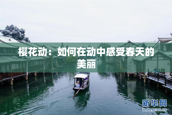 樱花动：如何在动中感受春天的美丽