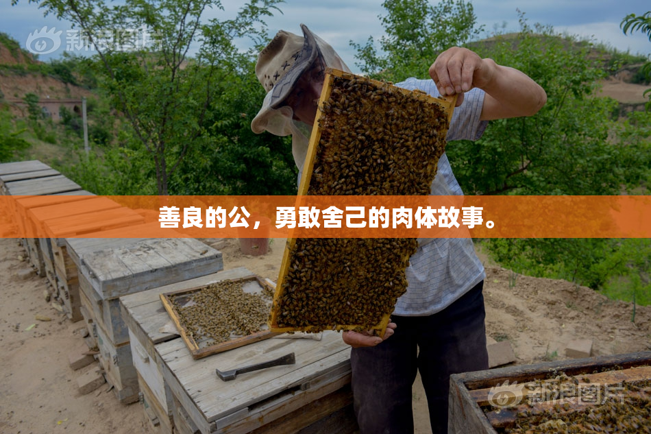 善良的公，勇敢舍己的肉体故事。