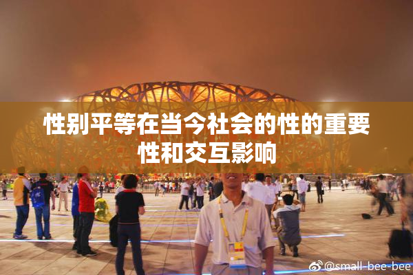 性别平等在当今社会的性的重要性和交互影响
