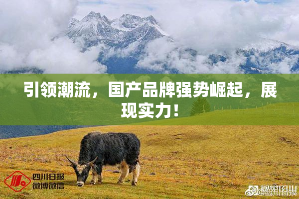引领潮流，国产品牌强势崛起，展现实力！