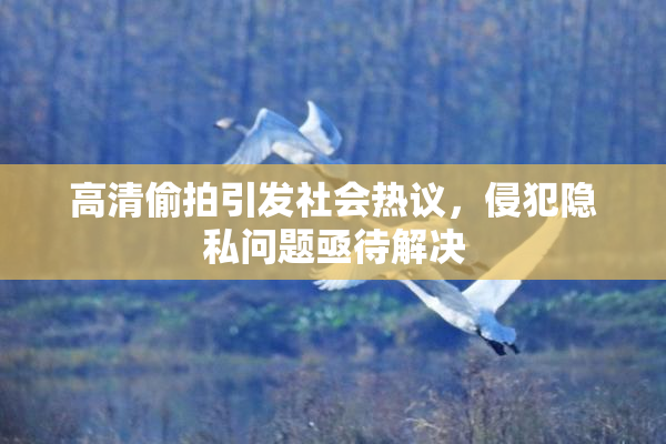 高清偷拍引发社会热议，侵犯隐私问题亟待解决