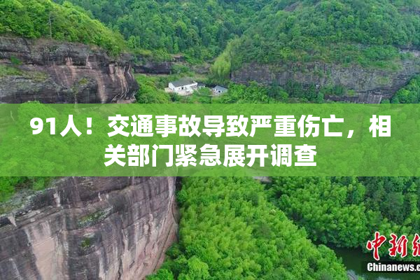 91人！交通事故导致严重伤亡，相关部门紧急展开调查