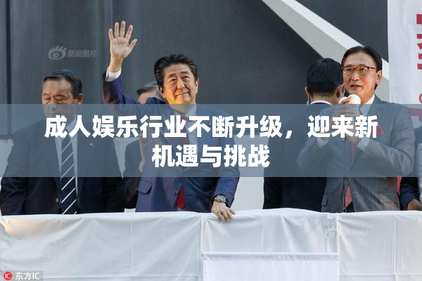 成人娱乐行业不断升级，迎来新机遇与挑战