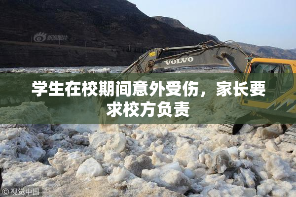 学生在校期间意外受伤，家长要求校方负责
