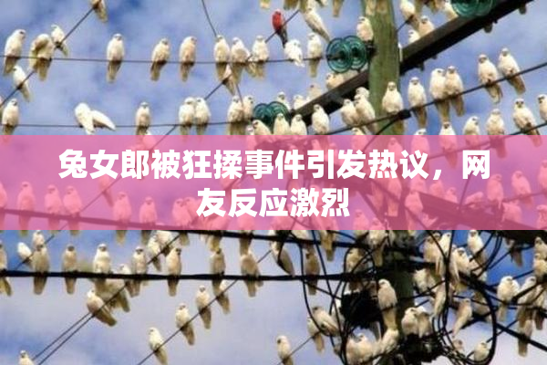 兔女郎被狂揉事件引发热议，网友反应激烈