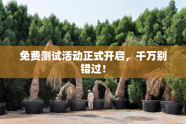 免费测试活动正式开启，千万别错过！