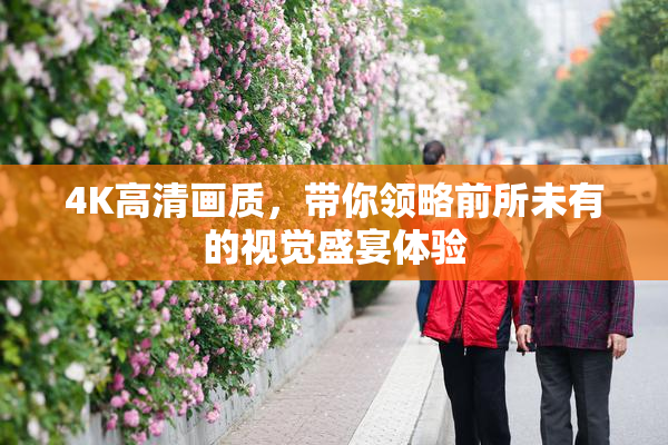 4K高清画质，带你领略前所未有的视觉盛宴体验