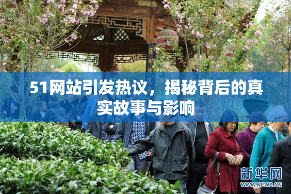 51网站引发热议，揭秘背后的真实故事与影响