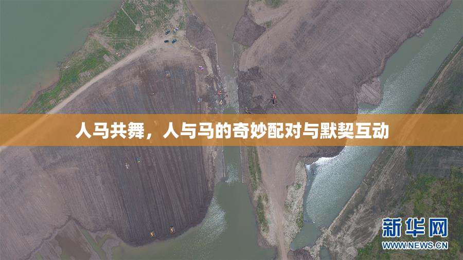 人马共舞，人与马的奇妙配对与默契互动