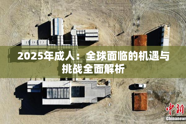 2025年成人：全球面临的机遇与挑战全面解析