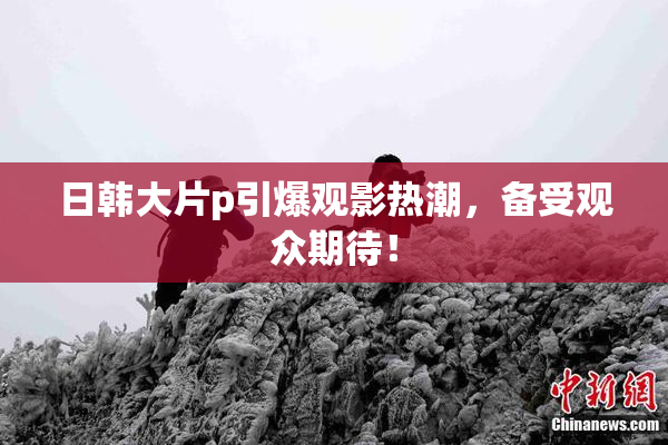 日韩大片p引爆观影热潮，备受观众期待！