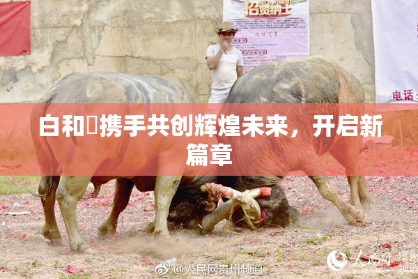 白和晄携手共创辉煌未来，开启新篇章