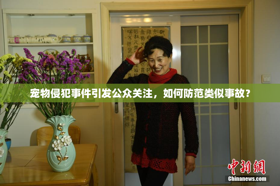 宠物侵犯事件引发公众关注，如何防范类似事故？