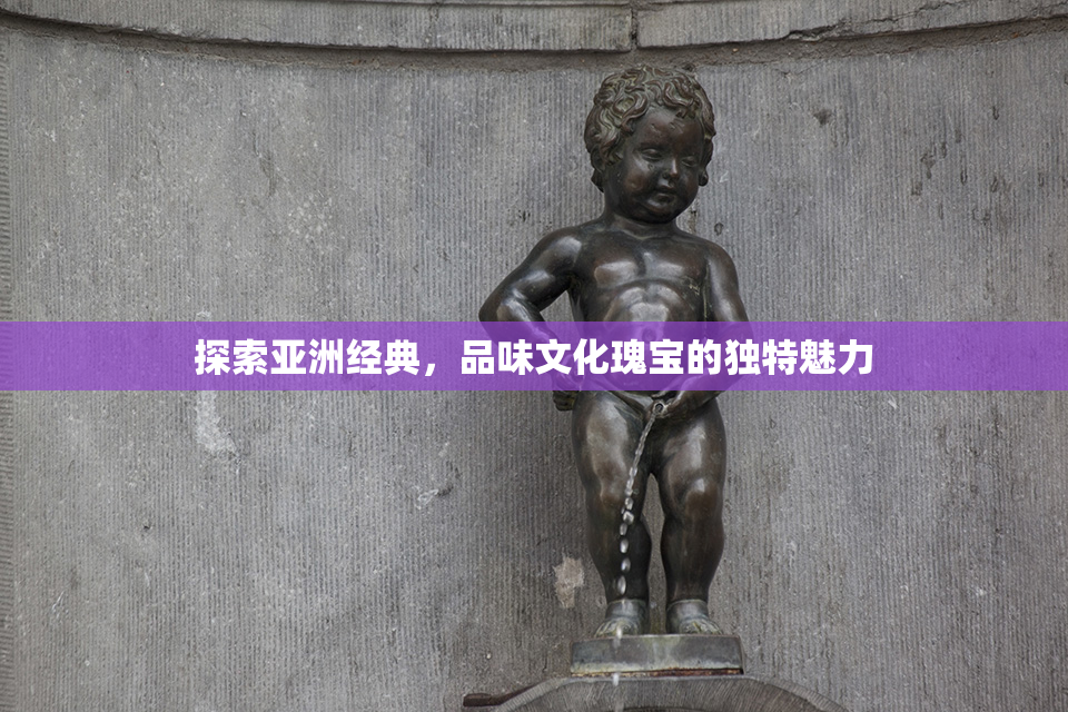 探索亚洲经典，品味文化瑰宝的独特魅力