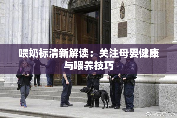 喂奶标清新解读：关注母婴健康与喂养技巧