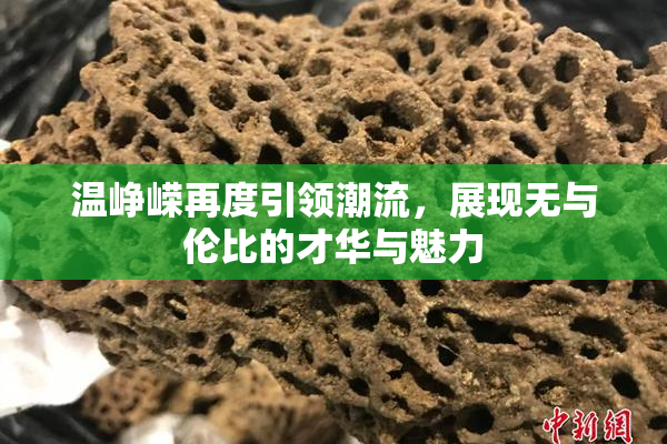 温峥嵘再度引领潮流，展现无与伦比的才华与魅力