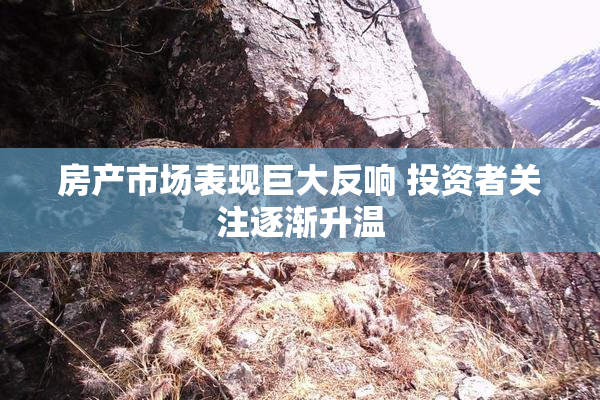 房产市场表现巨大反响 投资者关注逐渐升温