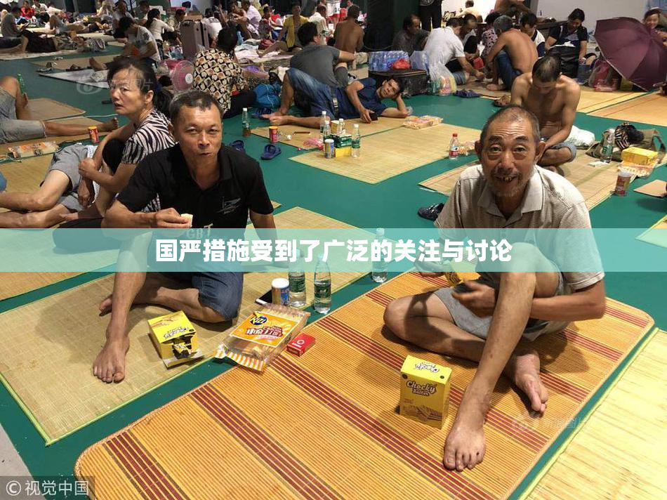 国严措施受到了广泛的关注与讨论