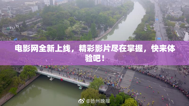 电影网全新上线，精彩影片尽在掌握，快来体验吧！
