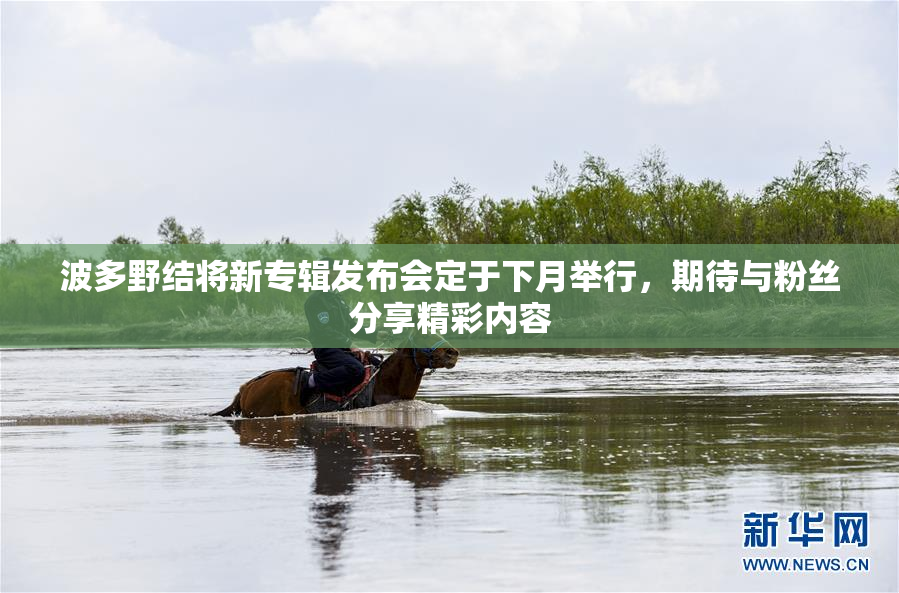 波多野结将新专辑发布会定于下月举行，期待与粉丝分享精彩内容