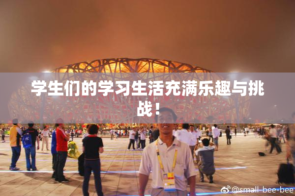 学生们的学习生活充满乐趣与挑战！