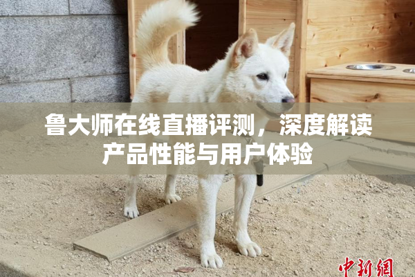 鲁大师在线直播评测，深度解读产品性能与用户体验