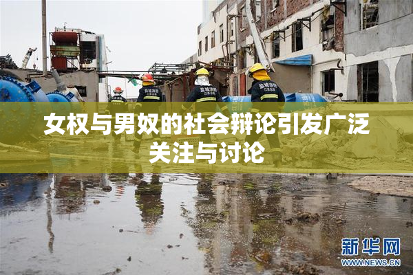 女权与男奴的社会辩论引发广泛关注与讨论