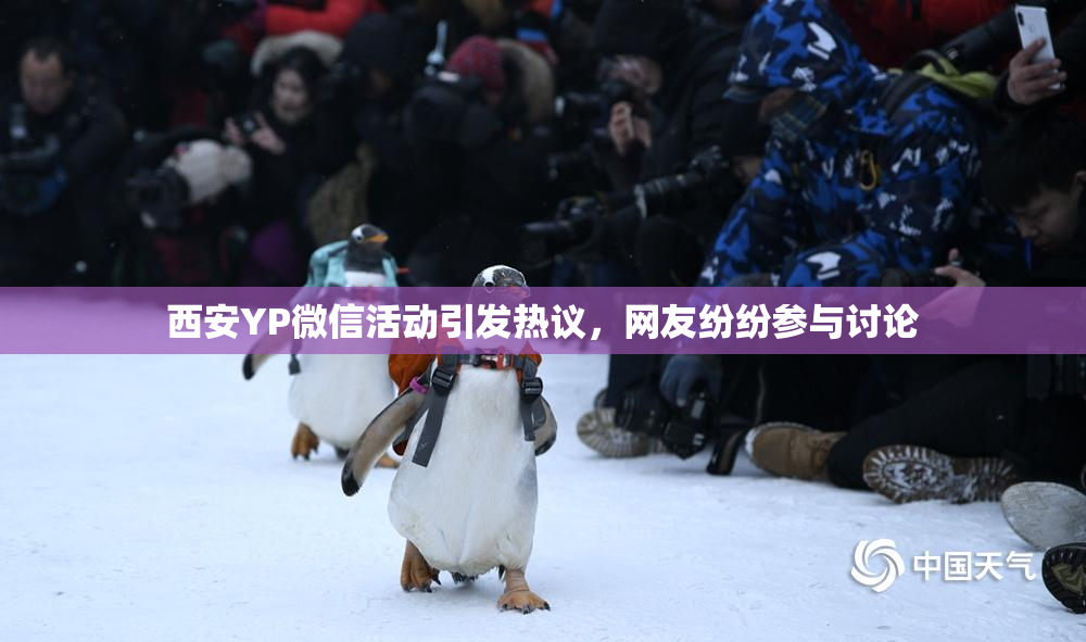 西安YP微信活动引发热议，网友纷纷参与讨论