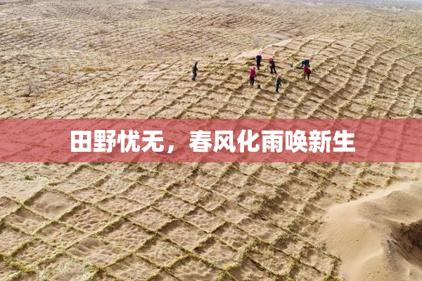 田野忧无，春风化雨唤新生
