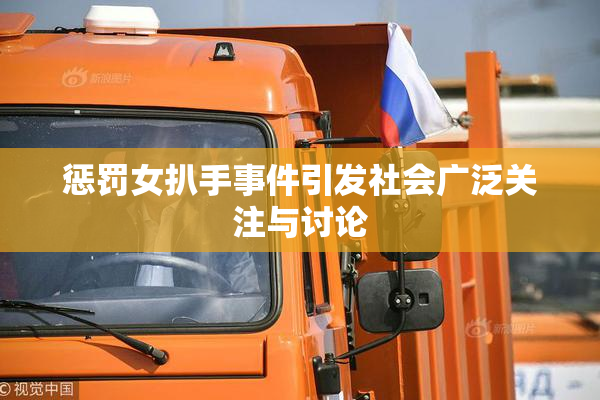 惩罚女扒手事件引发社会广泛关注与讨论