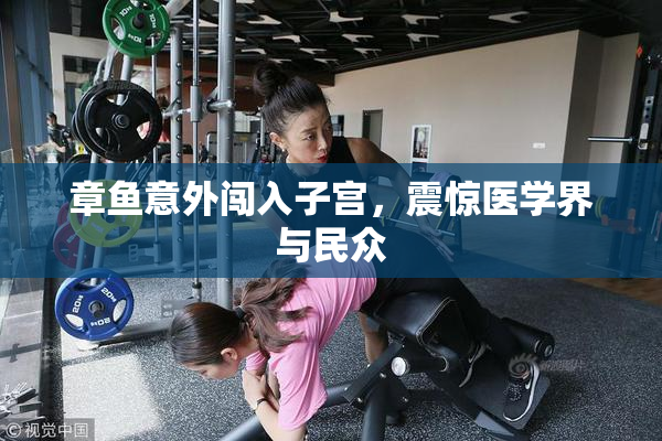 章鱼意外闯入子宫，震惊医学界与民众