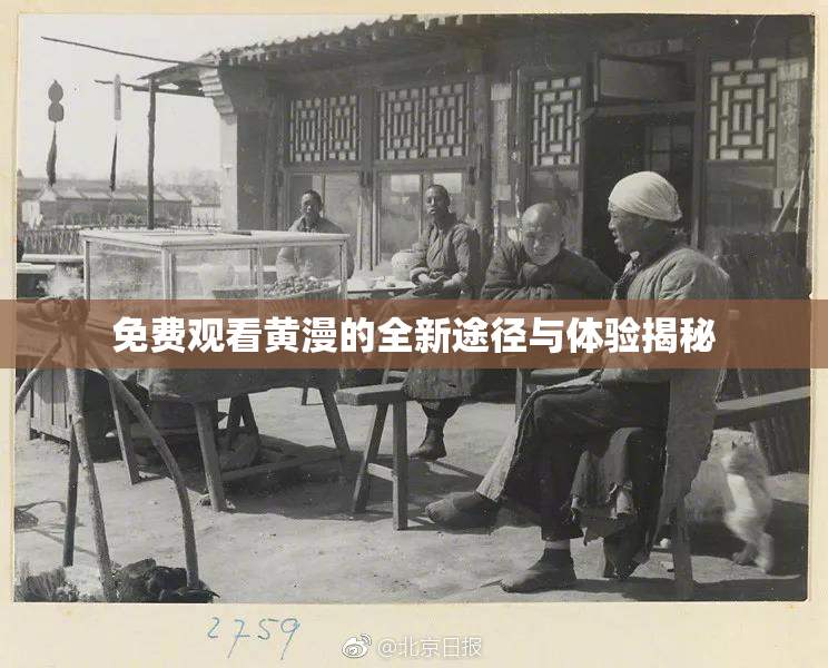 免费观看黄漫的全新途径与体验揭秘