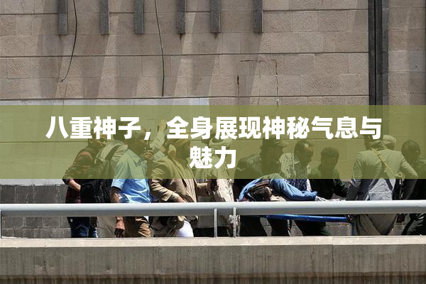 八重神子，全身展现神秘气息与魅力