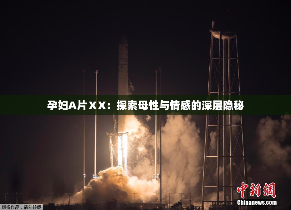 孕妇A片ⅩX：探索母性与情感的深层隐秘