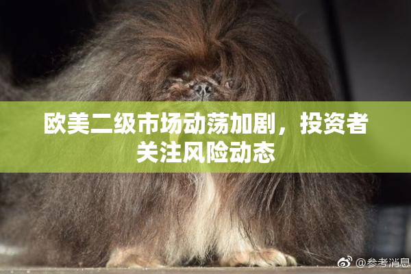 欧美二级市场动荡加剧，投资者关注风险动态