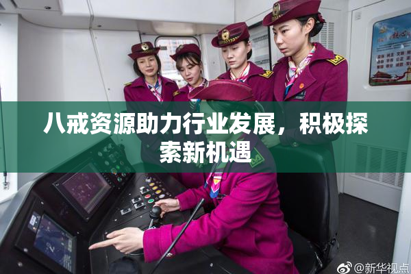 八戒资源助力行业发展，积极探索新机遇
