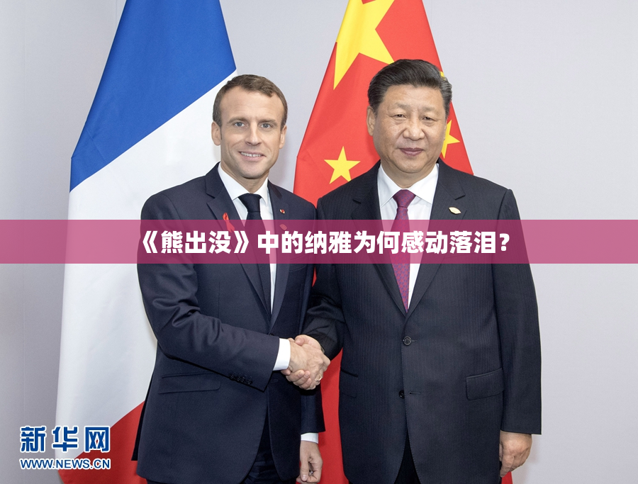 《熊出没》中的纳雅为何感动落泪？