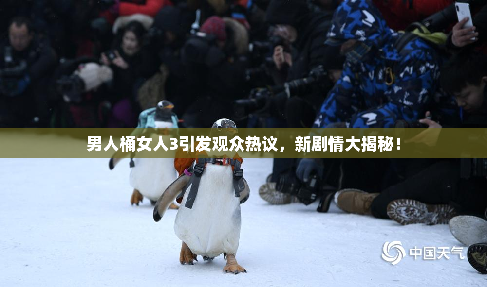 男人桶女人3引发观众热议，新剧情大揭秘！
