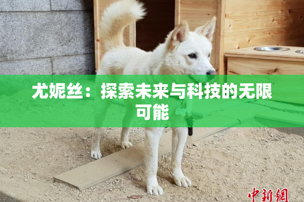 尤妮丝：探索未来与科技的无限可能
