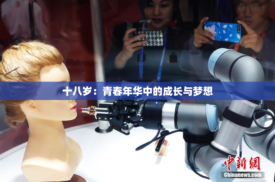 十八岁：青春年华中的成长与梦想