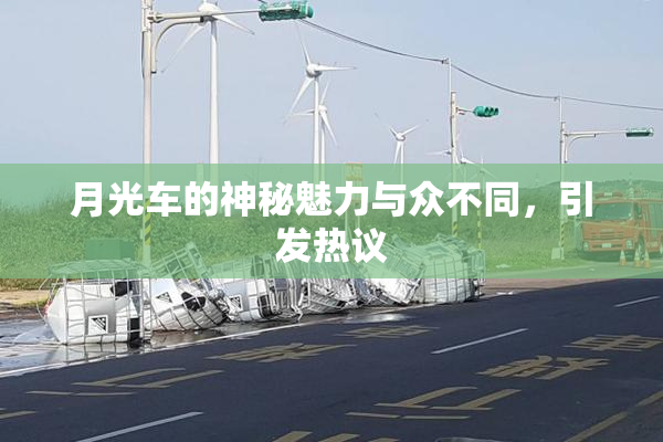 月光车的神秘魅力与众不同，引发热议